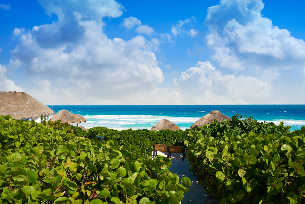 cancun delfines beach at hotel zone mexico
